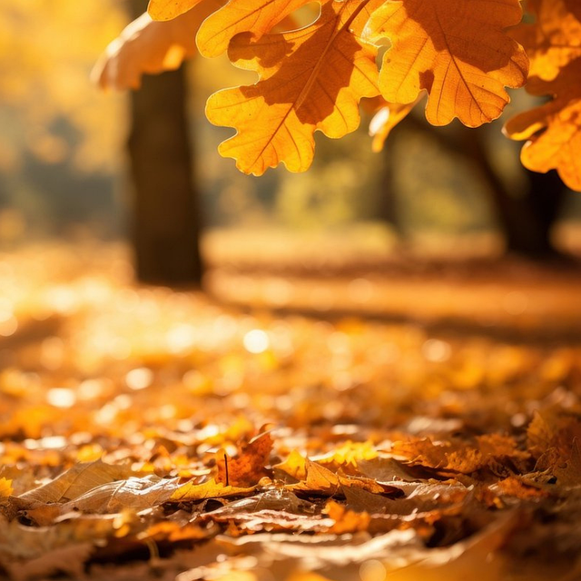 Download free HD stock image of Trees Leaves Free trees leaves autumn illustration