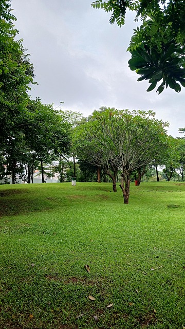 Free Green Nature illustration and picture