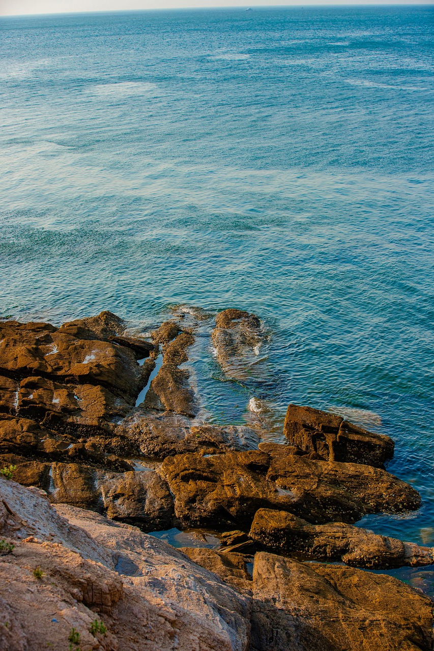 대양 바다 해안 - Pixabay의 무료 사진 - Pixabay