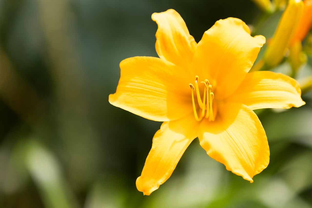 Discover and download free images - Pixabay