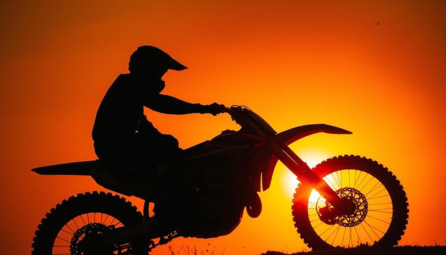 Free Motorcycle Rider illustration and picture