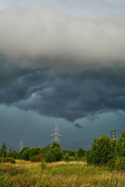 Free Rain Nature photo and picture