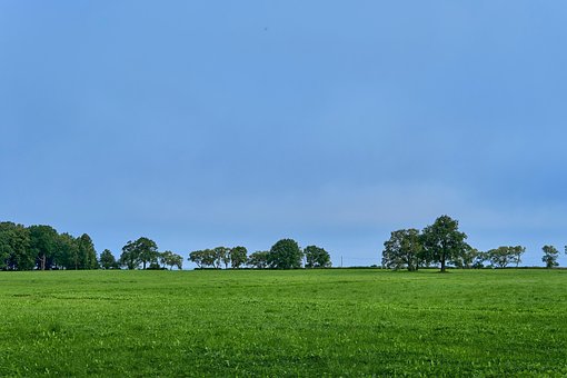 Free Field Nature photo and picture