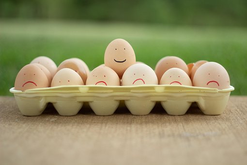 Free Eggs Food photo and picture