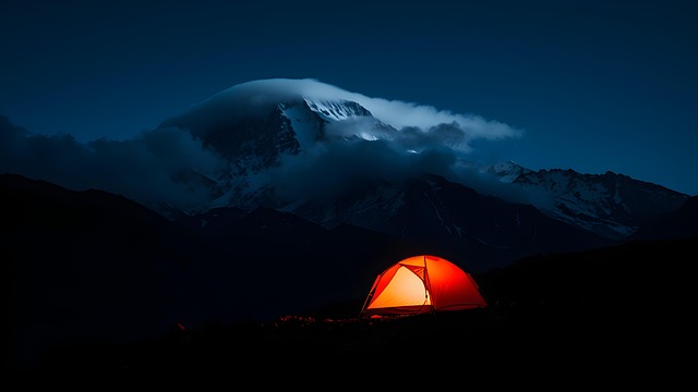 Free ai generated night camping illustration