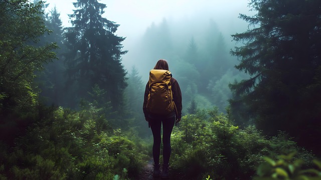 Wanderung Im Nebligen Wald