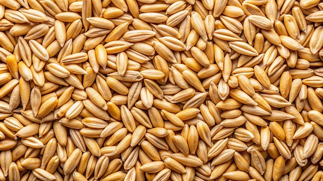 Free ai generated oat cereals illustration