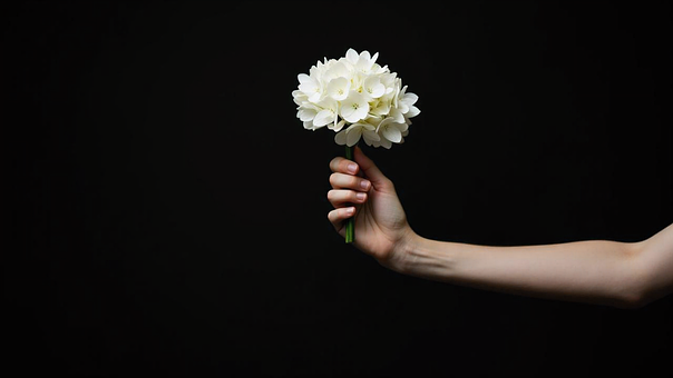 Hånd, Blomster, Hvid, Buket