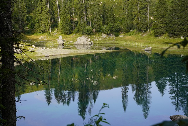 Free Lake Carezza photo and picture