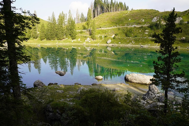 Free Lake Forest photo and picture