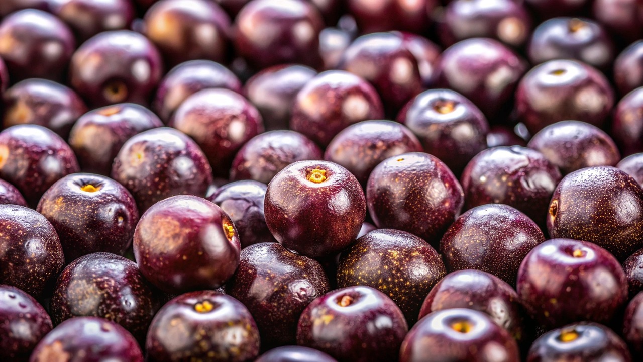 Más de 30 imágenes gratis de Acai y Saludable - Pixabay