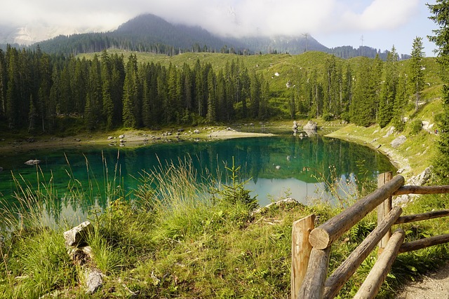 Free Carezza Forest photo and picture