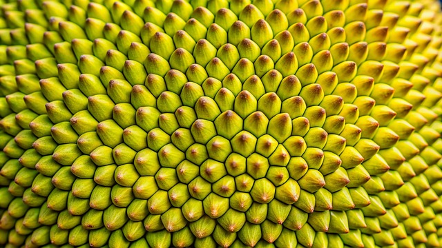 Free ai generated jackfruit fruit illustration