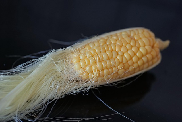 Free Corn Corn Cob photo and picture