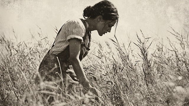 Free ai generated woman field illustration
