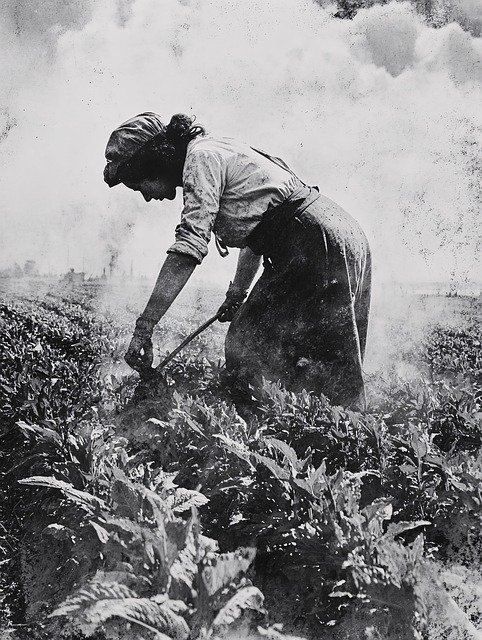 Free ai generated woman field illustration
