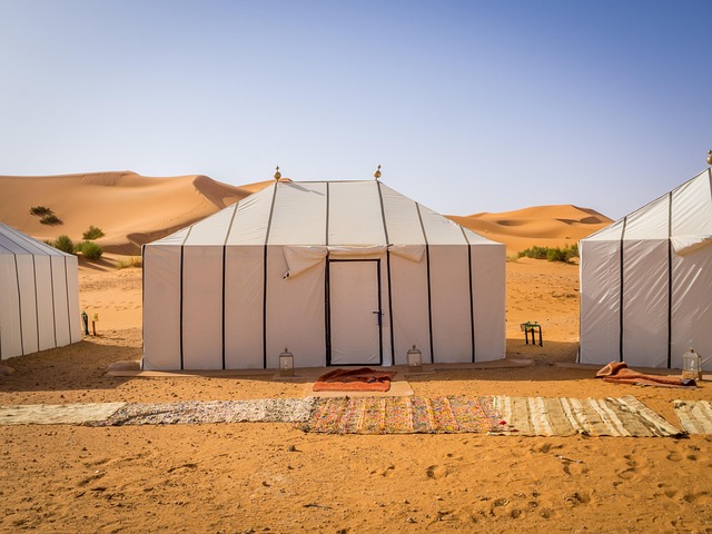 Free ai generated nature tent illustration