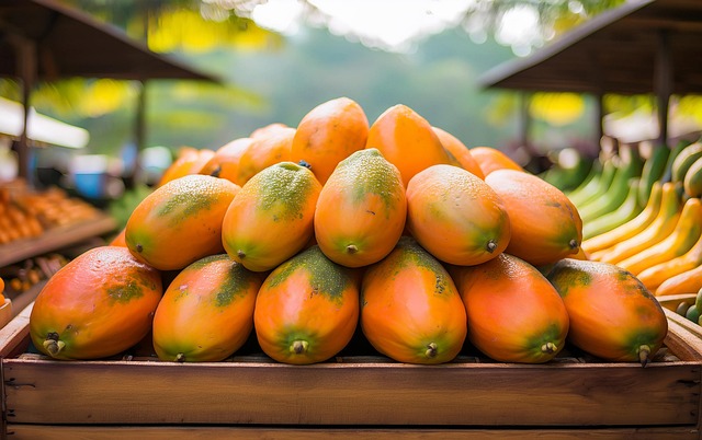 Free Papaya Fruit illustration and picture