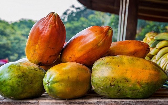 Free Papaya Fruit illustration and picture