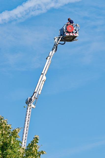 Free Crane Elevator photo and picture