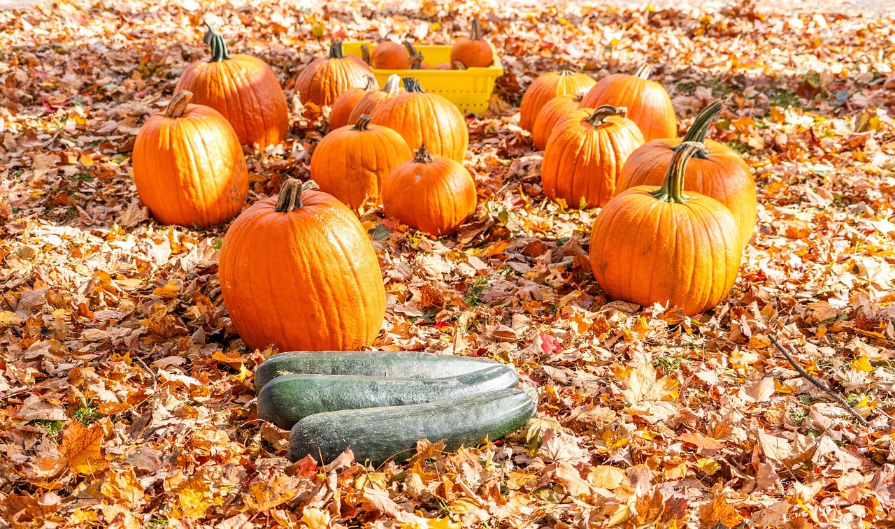 落下 秋天 南瓜 - Pixabay上的免费照片 - Pixabay