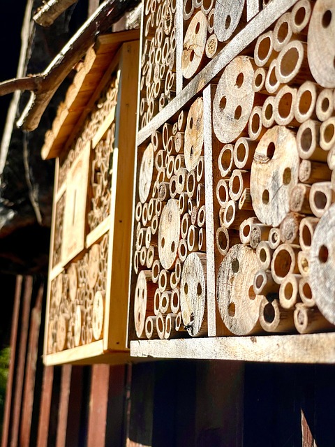 Free Insect Hotel Bee Hotel photo and picture