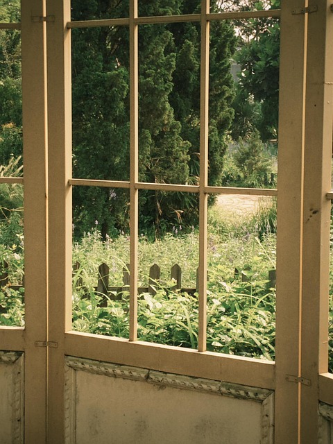 Free Nature Scene photo and picture