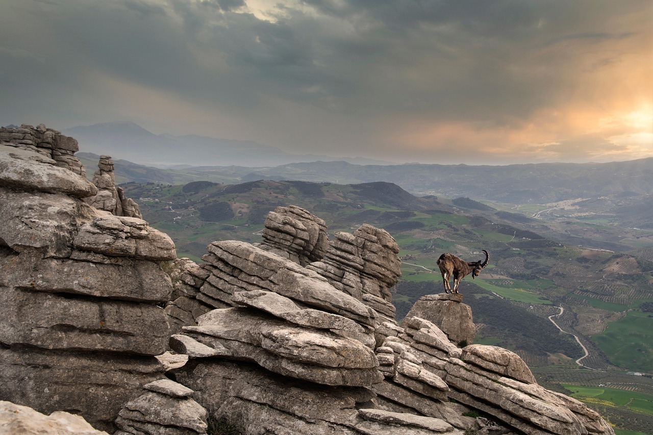 landscape-8990071_1280.jpg