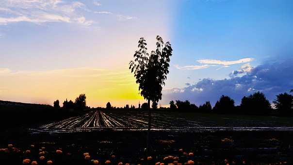 Free Hasselblad 8K photo and picture