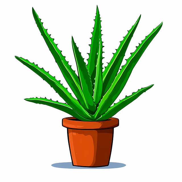 Free ai generated aloe aloe flower illustration