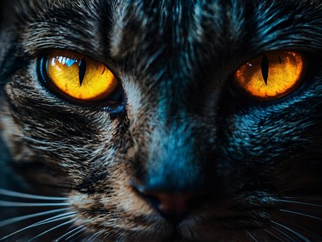 Free Ai Generated Cat illustration and picture