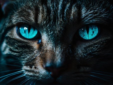 Free Ai Generated Cat illustration and picture
