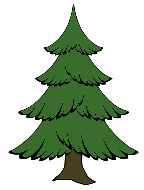 Download free HD stock image of Tree Pine Tree Free tree pine tree pine illustration