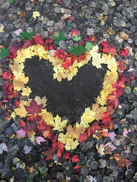Free Heart Fall photo and picture