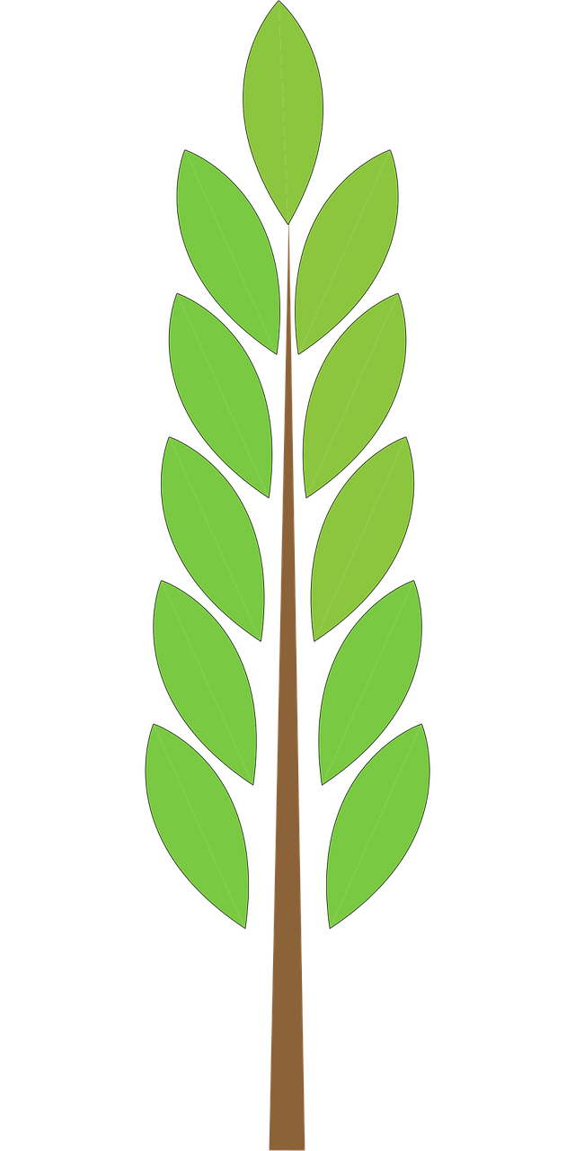 Download free HD stock image of Tree Plant Free tree plant forest vector