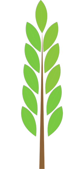 Free Tree Plant vector and picture