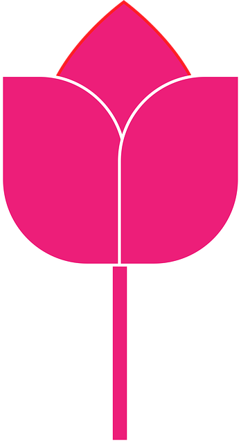 Free Rose Flower vector and picture