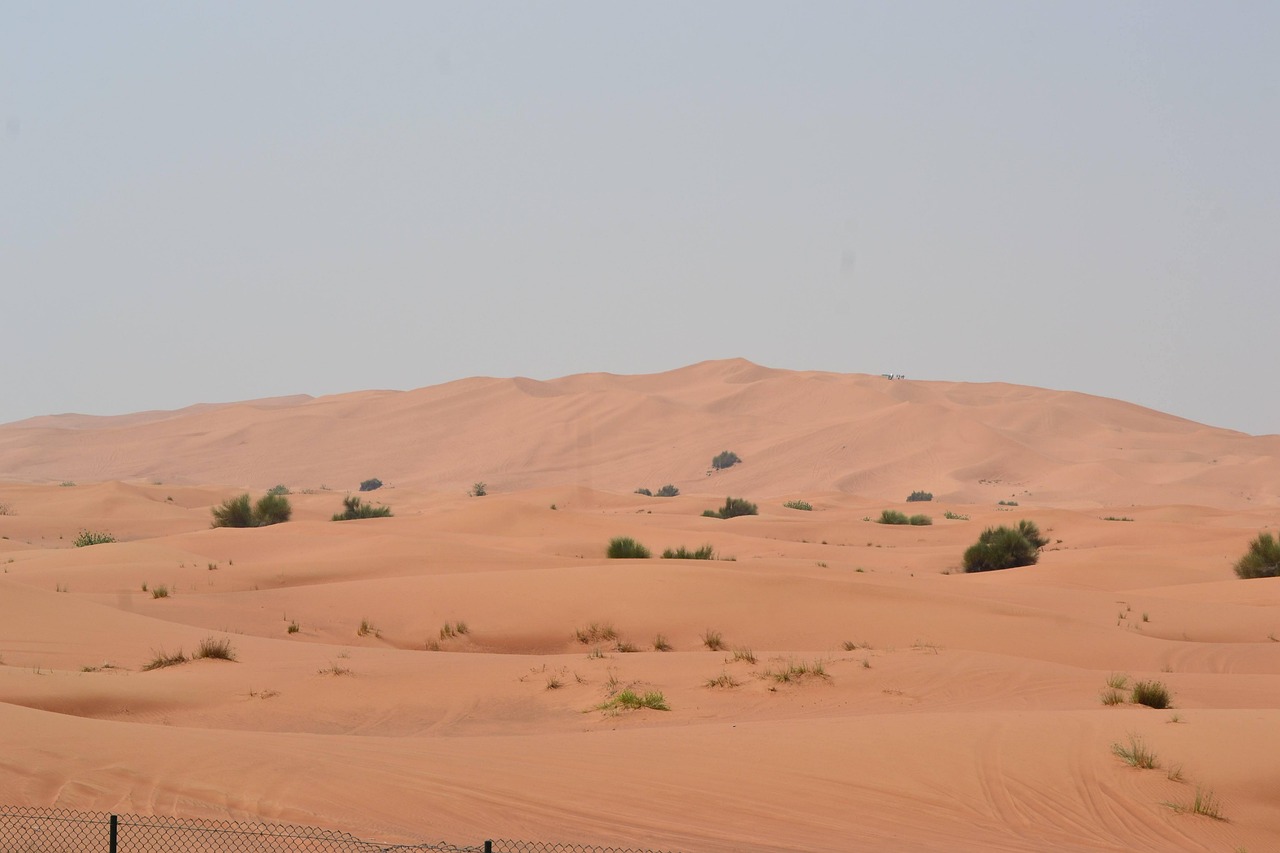 Desert Vegetation Sand Dunes Arid Free Photo On Pixabay