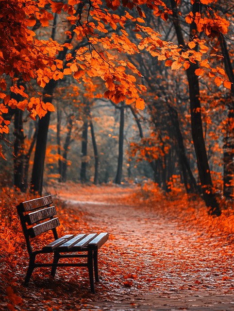 Free Ai Generated Bench illustration and picture