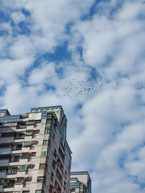 Free City Kaohsiung photo and picture