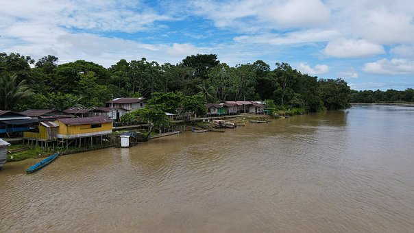 Free Colombia Jungle photo and picture