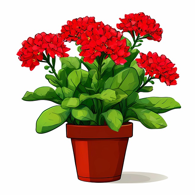 Ai Generované, Kalanchoe