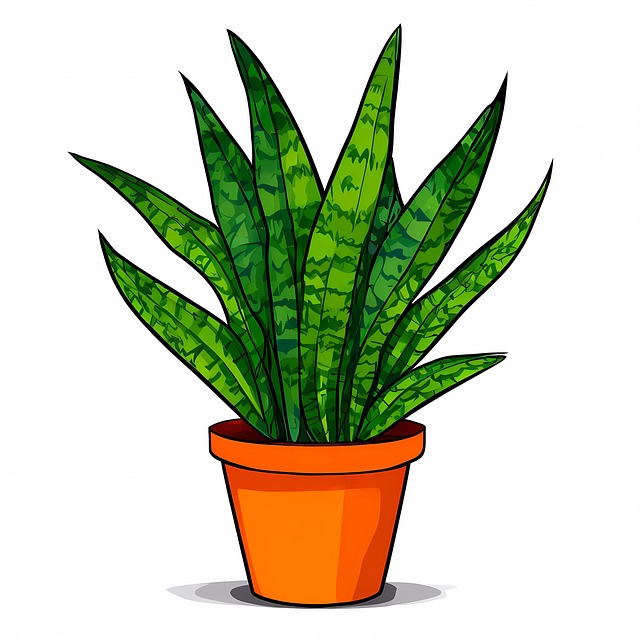 Ai Generované, Sansevieria, Príroda