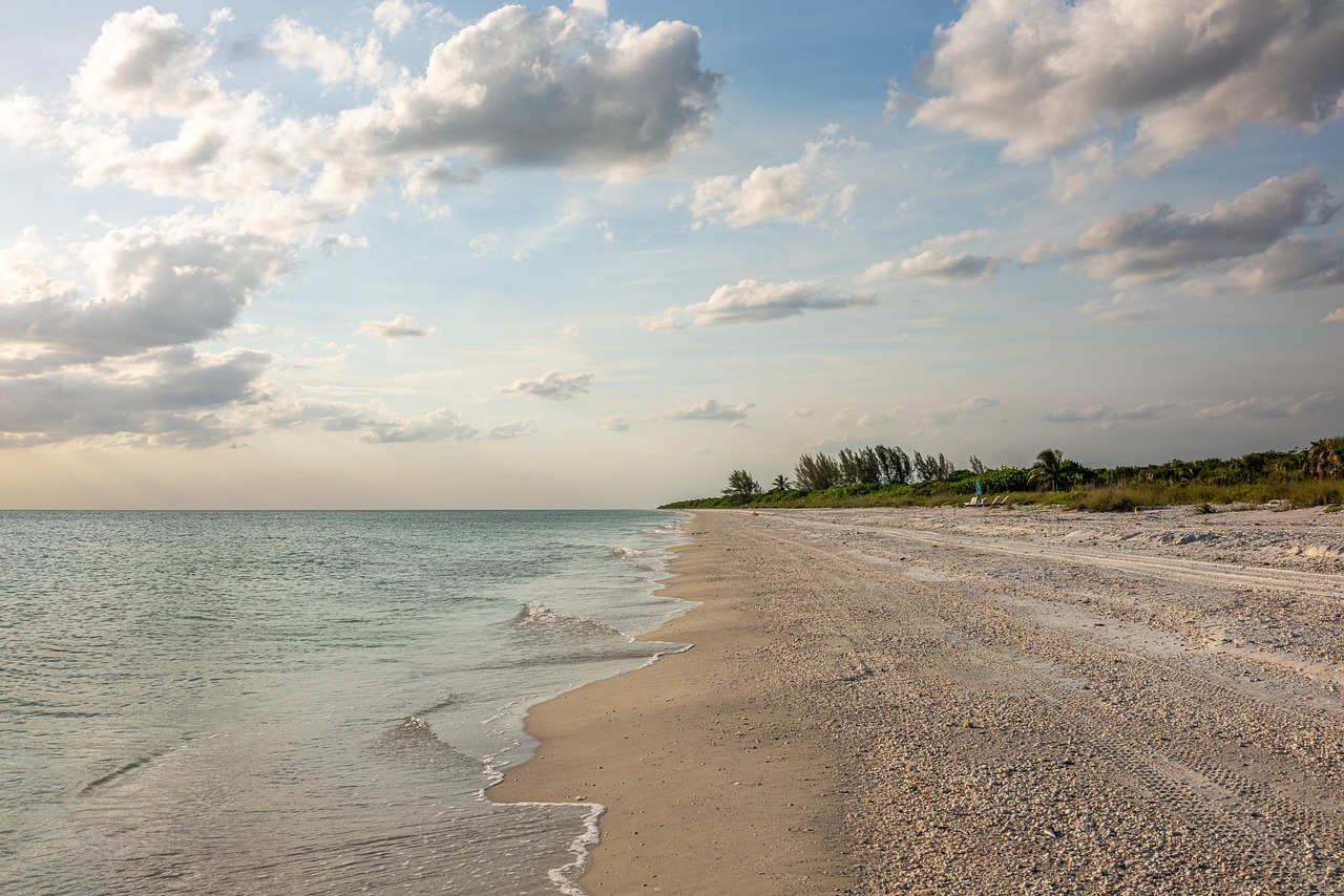 Discover and download free images - Pixabay