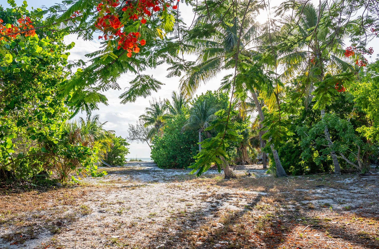 keewaydin-island-tropical-beach-free-photo-on-pixabay-pixabay