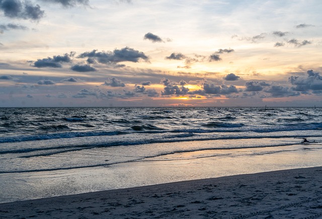 Free Beach Sea photo and picture
