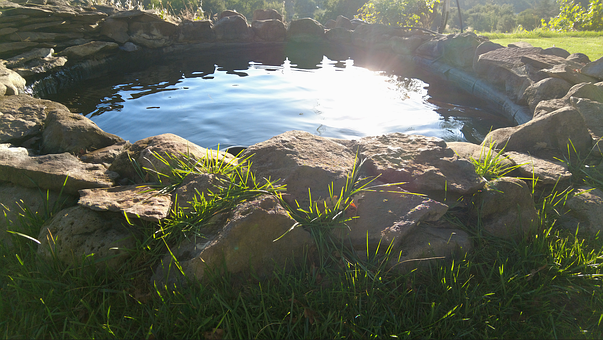 Free Pond Nature photo and picture