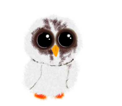 Free Owl Bird illustration and picture