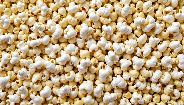 Free popcorn pop food illustration