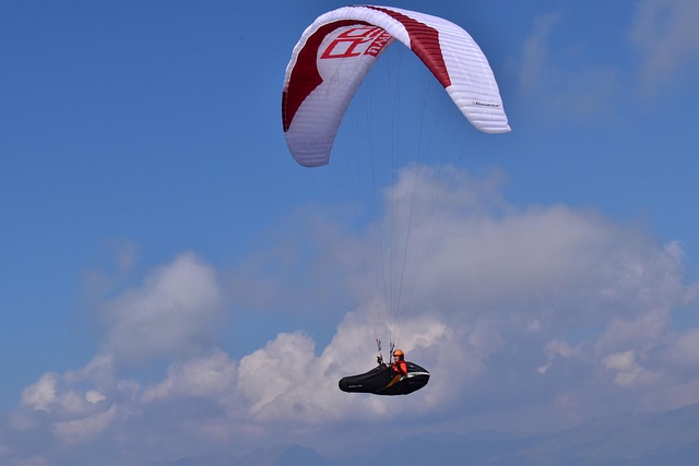 Free Fly Flight photo and picture